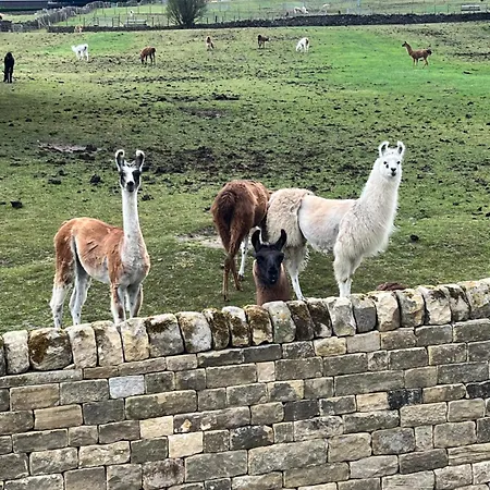 Apartment Kiln House *
